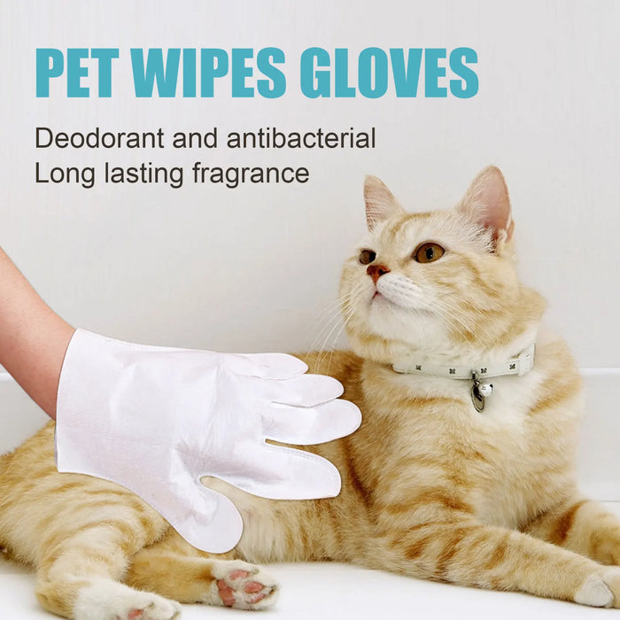 6Pcs/Pack Cat Dog Grooming Glove Pet Hair Deshedding Brush Comb Glove Disposable Pet Stain Remover Wipes Non-Woven Fabric Glove